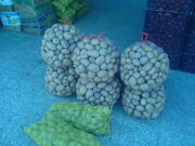 Продам Картофель из Пакистана