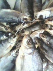 рыба вяленая,  копченая