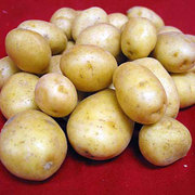 Продам вкусный картофель