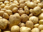 картофель от 70 руб