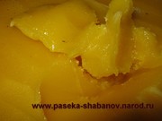 продаю мёд с личной пасеки