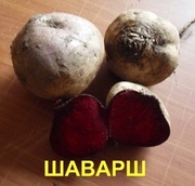 Продаем свеклу