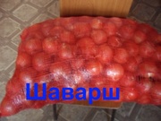 Лук оптом