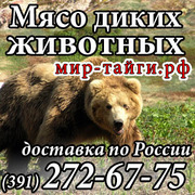 Продам дичь птицы,  мясо дичь Красноярск