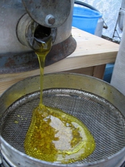 Продам мёд,  разнотравие,   урожай 2013