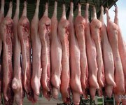 продам свинину, говядину