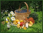 Лесная земляника,  черника,  белые грибы с доставкой