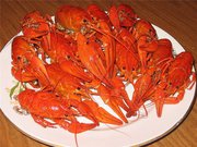 Живие РАКИ КЕМЕРОВО 