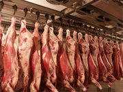 Оптом,  на постоянной основе,  закупаем мясо сырье