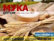Мука высшего,  первого,  второго сорта,  ржаная обдирная,  сеяная оптом ку