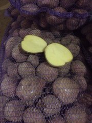 Картофель оптом от производителя 8 руб/кг