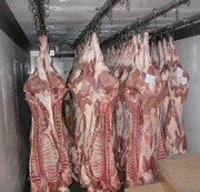 Мясо-свинина в полутушах 1, 2, 3 категории оптом  ГОСТ Р 53221-2008