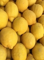 Лимоны из Испании оптом от производителя