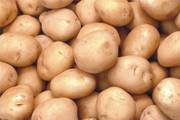 Продам картофель оптом